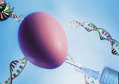 PGD ( تشخیص ژنتیکی پیش از لانه گزینی )