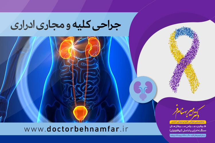 جراحی کلیه و مجاری ادراری