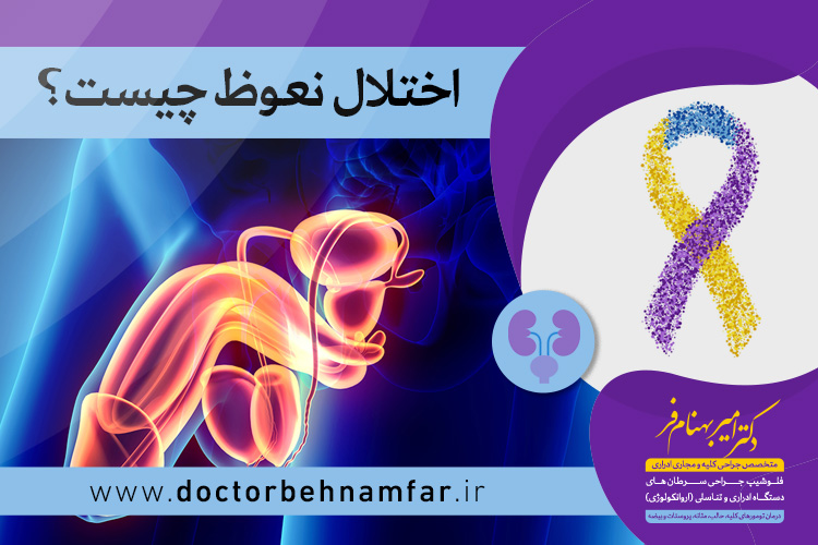 اختلال نعوظ چیست؟