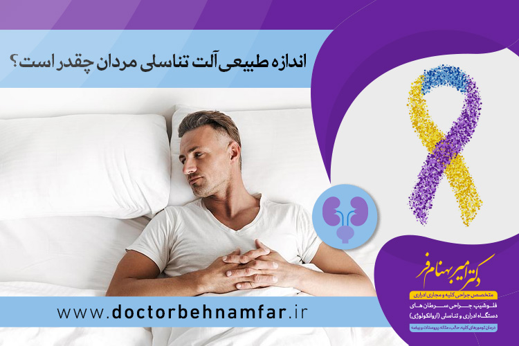 اندازه طبيعی آلت تناسلی مردان