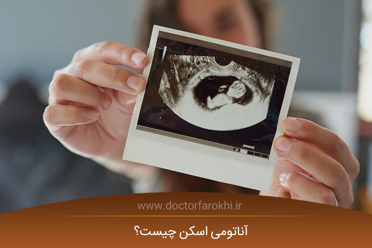 آناتومی اسکن
