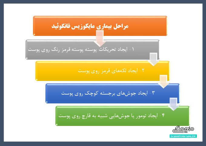 مراحل بیماری ام اف (MF)