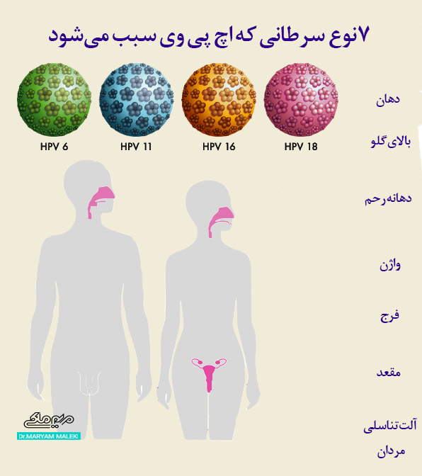 اچ پی وی و سرطان‌هایی که سبب می‌شود