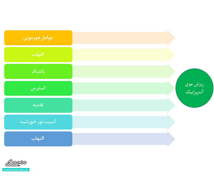 عوامل تاثیرگذار بر ریزش موی آندروژنیک