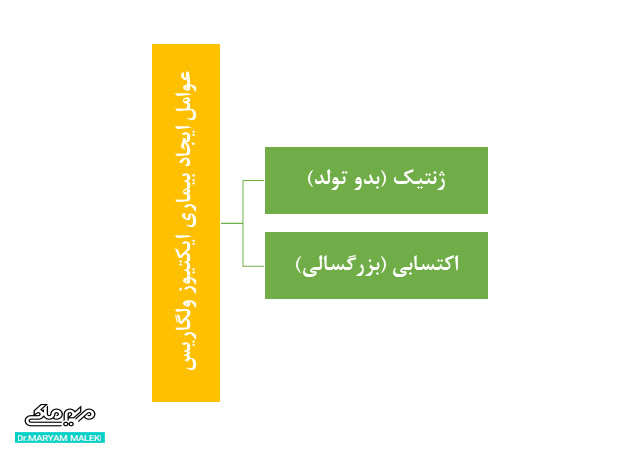 عوامل ایجاد ایکتیوز ولگاریس