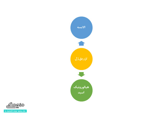 تزریق ژل در اسکار: الانسه و هیالورونیک