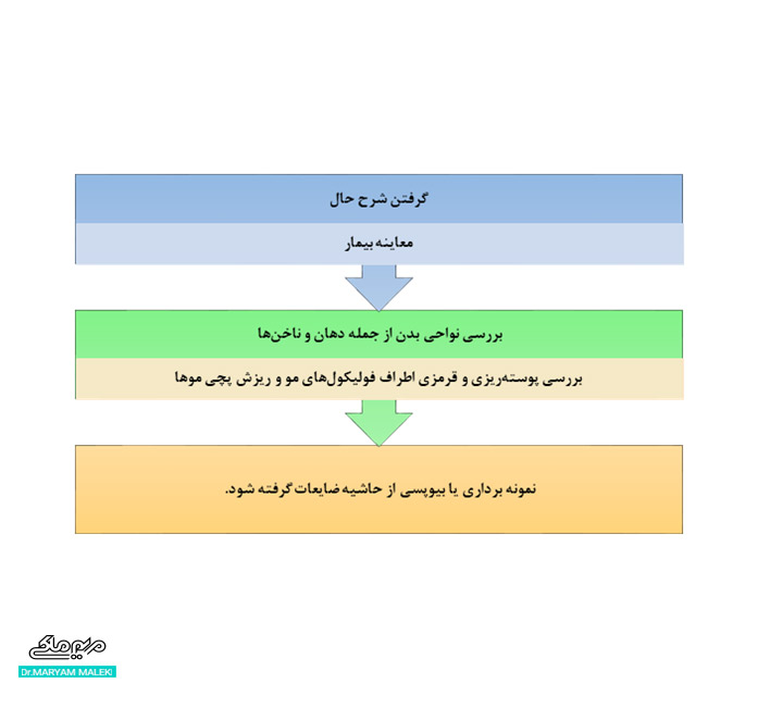 تشخیص لیکن پلان مویی