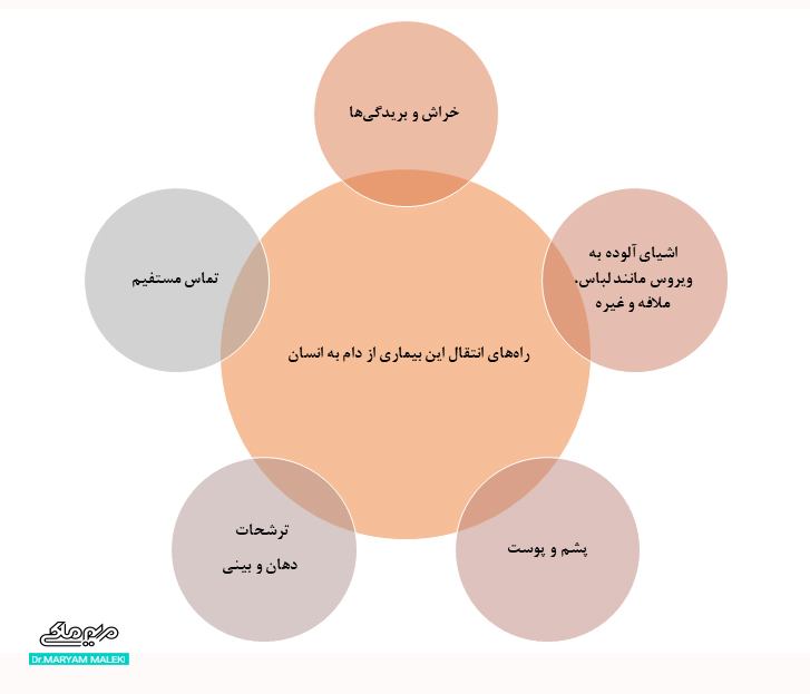 راه‌های انتقال این بیماری از دام به انسان