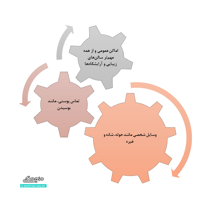 راه‌های انتقال انگل دمودکس