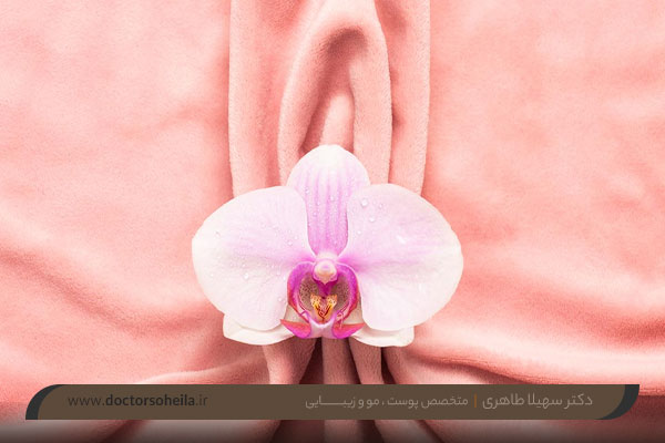 راهنماهای تکمیلی لابیاپلاستی