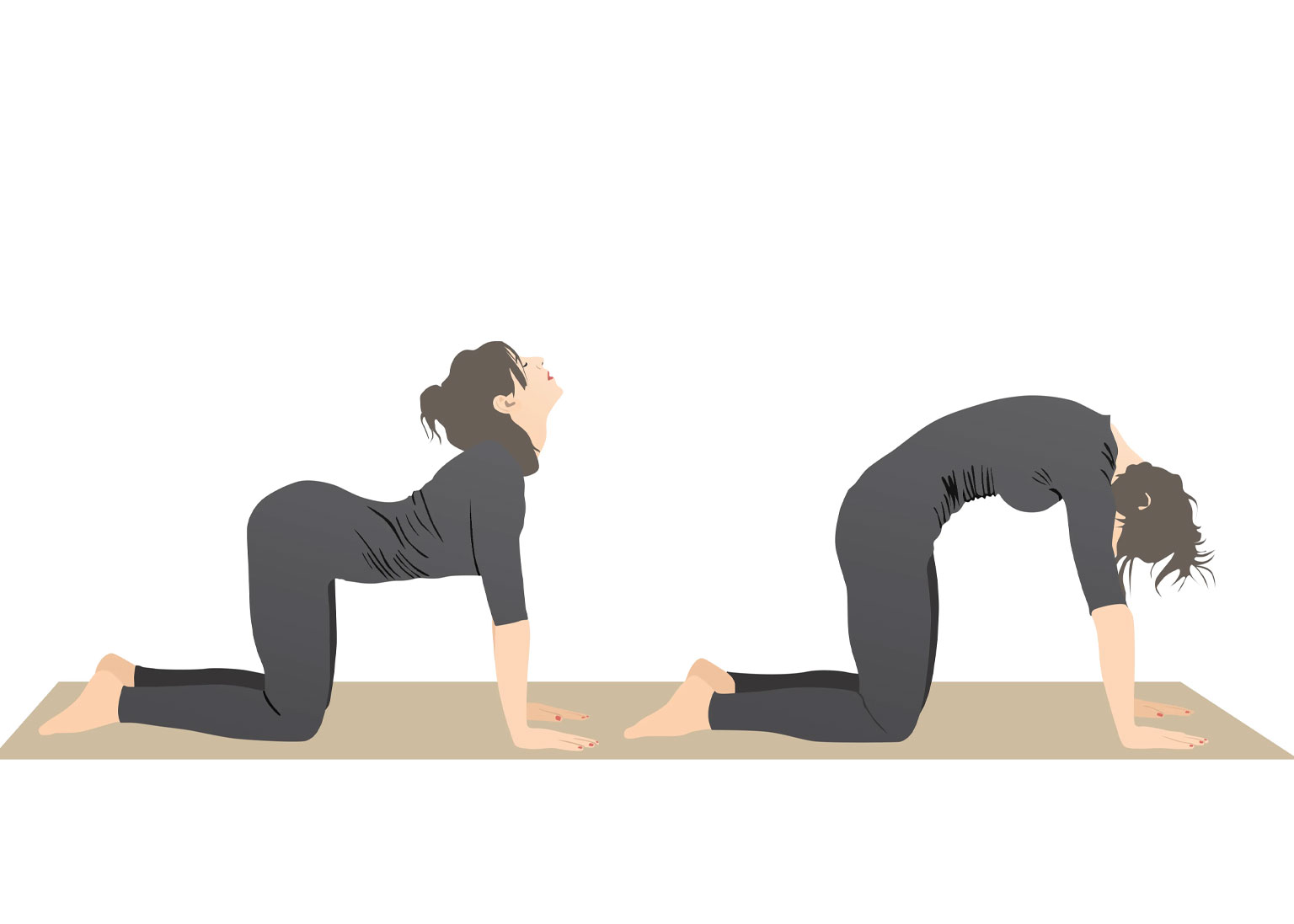 حرکت گربه و گاو 