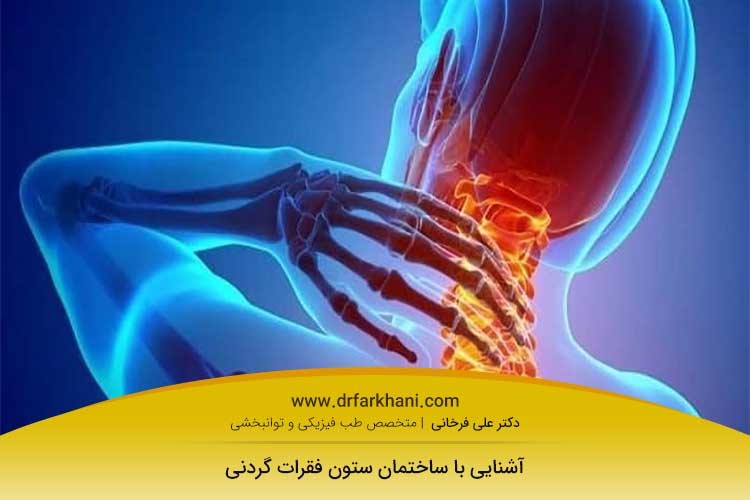 ستون فقرات گردنی