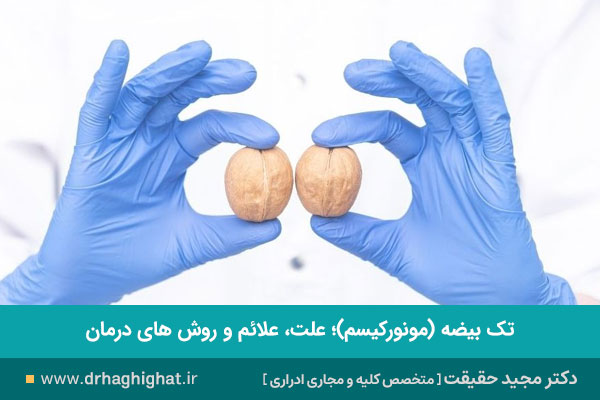 تک بیضه چیست