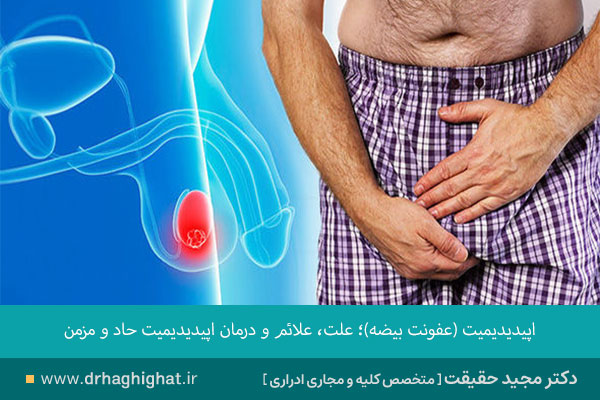 اپیدیدیمیت بیضه