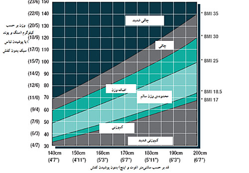 نمودار ارزیابی شاخص توده بدنی