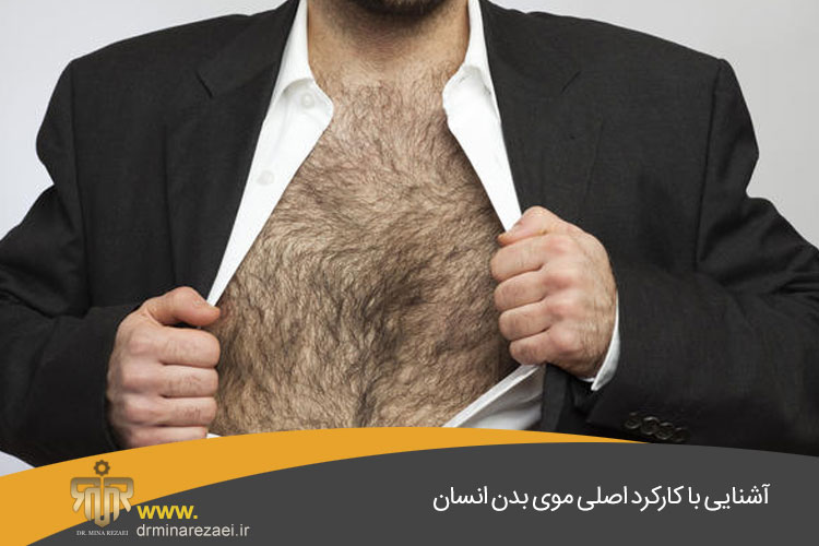 مو و ریزش مو