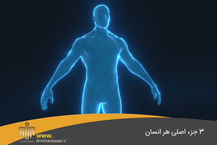 3 جزء اصلی هر انسان