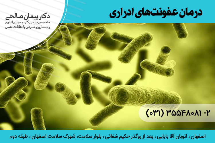 بهترین درمان عفونت ادراری