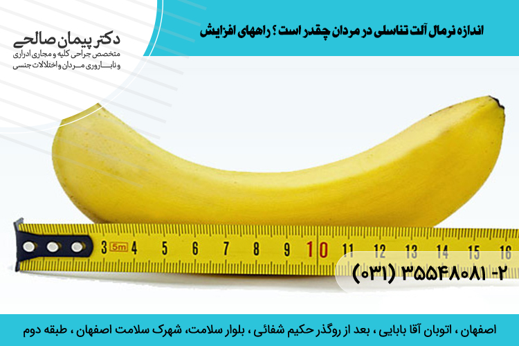 اندازه طبیعی آلت جنسی آقایون