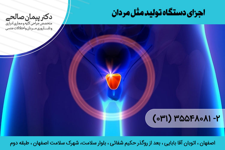  دستگاه تولید مثل مردان ، دکتر پیمان صالحی