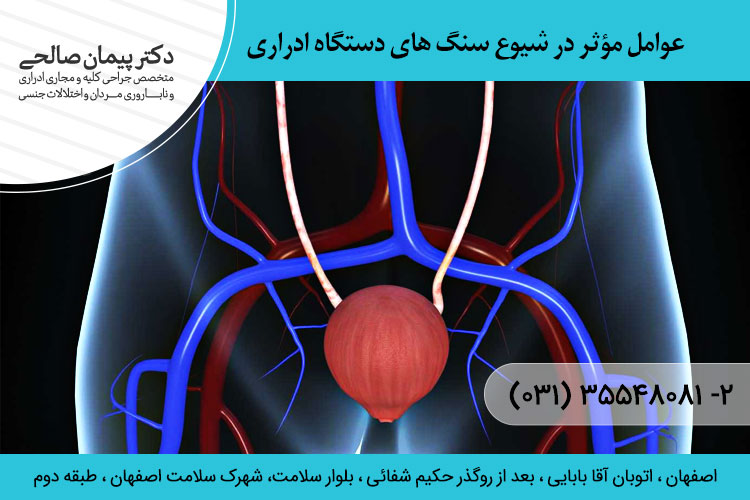 شیوع سنگ های ادراری