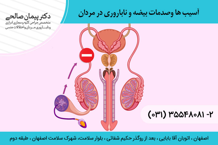 آسیب دیدگی بیضه