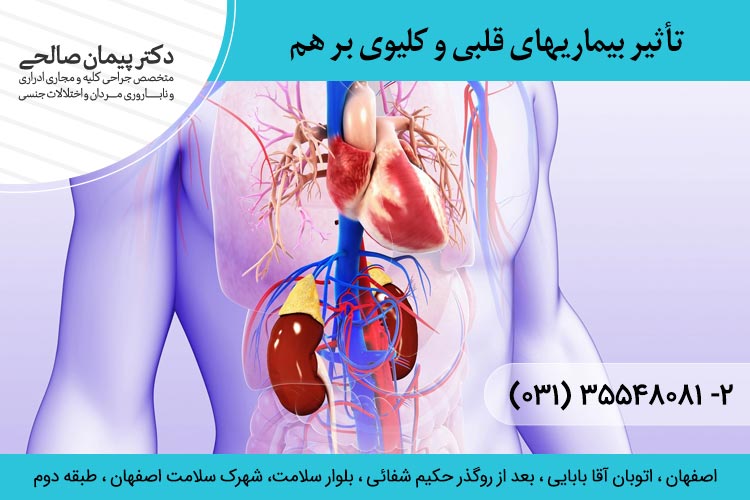 تأثیر بیماریهای قلبی و کلیوی بر هم