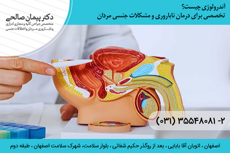 آندرولوژی چیست