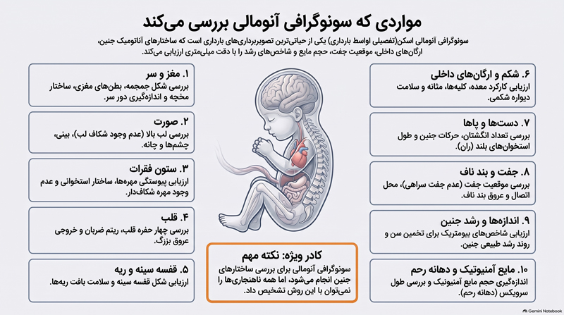 مواردی که سونوگرافی آنومالی بررسی می کند
