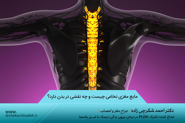 مایع مغزی نخاعی