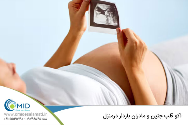 اکو قلب جنین و مادران باردار