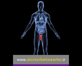 آیا سرطان یا بدخیمی پروستات قابل درمان است؟