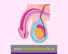 هیدروسل چیست و چگونه تشخیص داده میشود؟