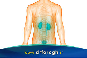 مشکلات کلیه و لگن از علل کمر درد