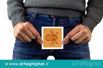 شپش تناسلی چیست؛ علت، علائم و داروی شپش ناحیه تناسلی