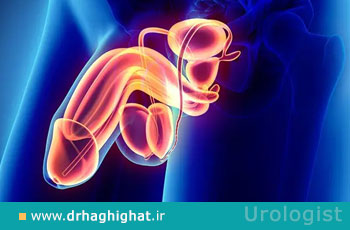 افزایش قطر آلت تناسلی | روشها و هزینه افزایش حجم آلت مردان