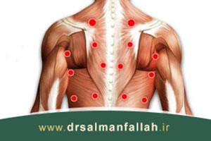 نقاط ماشه ای یا تریگر پوینت چیست؟