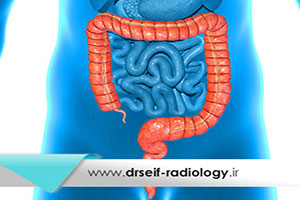 کاربرد عکس رنگی از روده