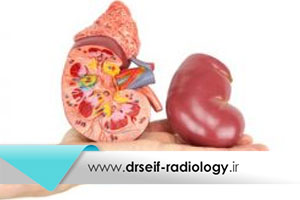 علت علائم و درمان بزرگ شدن کلیه