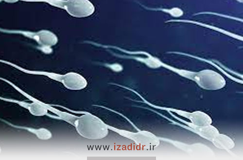 اسپرم صفر (آزواسپرمی) در مردان و راه درمان