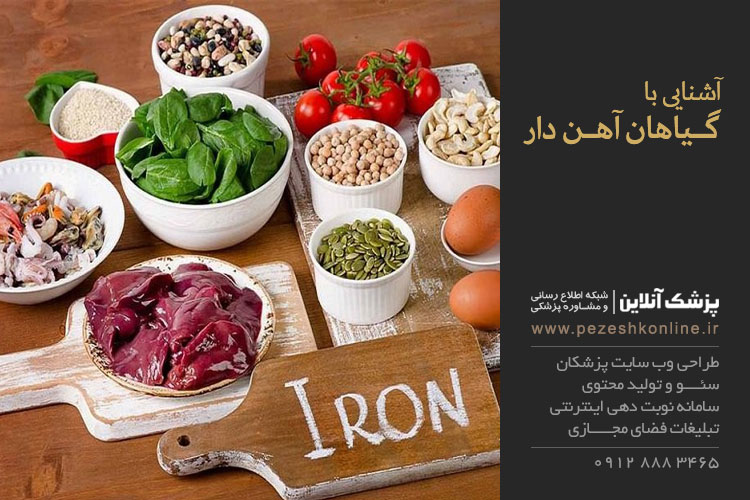 رژیم غذایی گیاهخواران