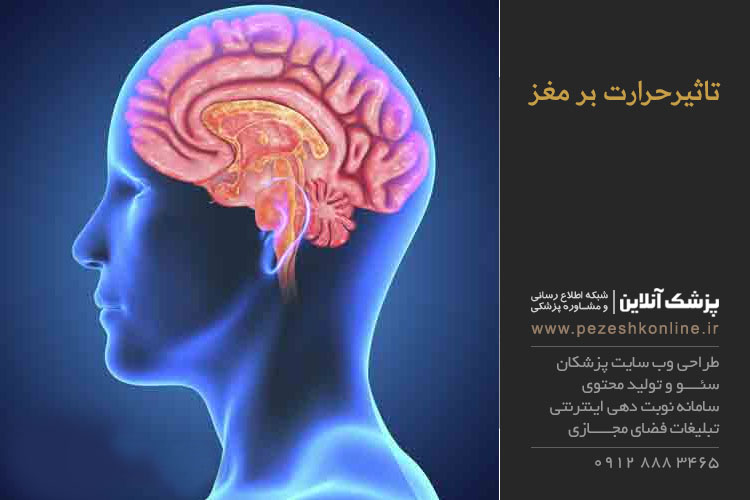 تاثیر درجه حرارت بر عملکرد مغز